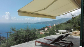 Villa Olivia Residence by PortofinoVacanze Zoagli